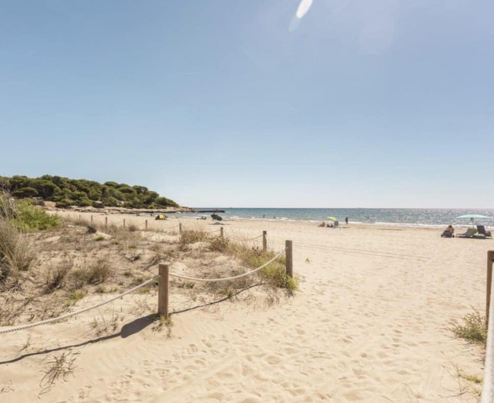 Estudio En La Playa Molnas